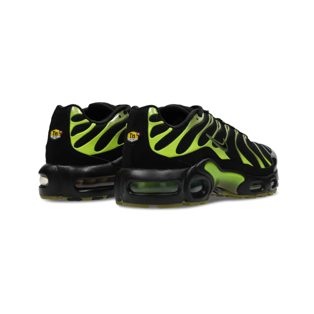 Air Max TN - Pacific Moss