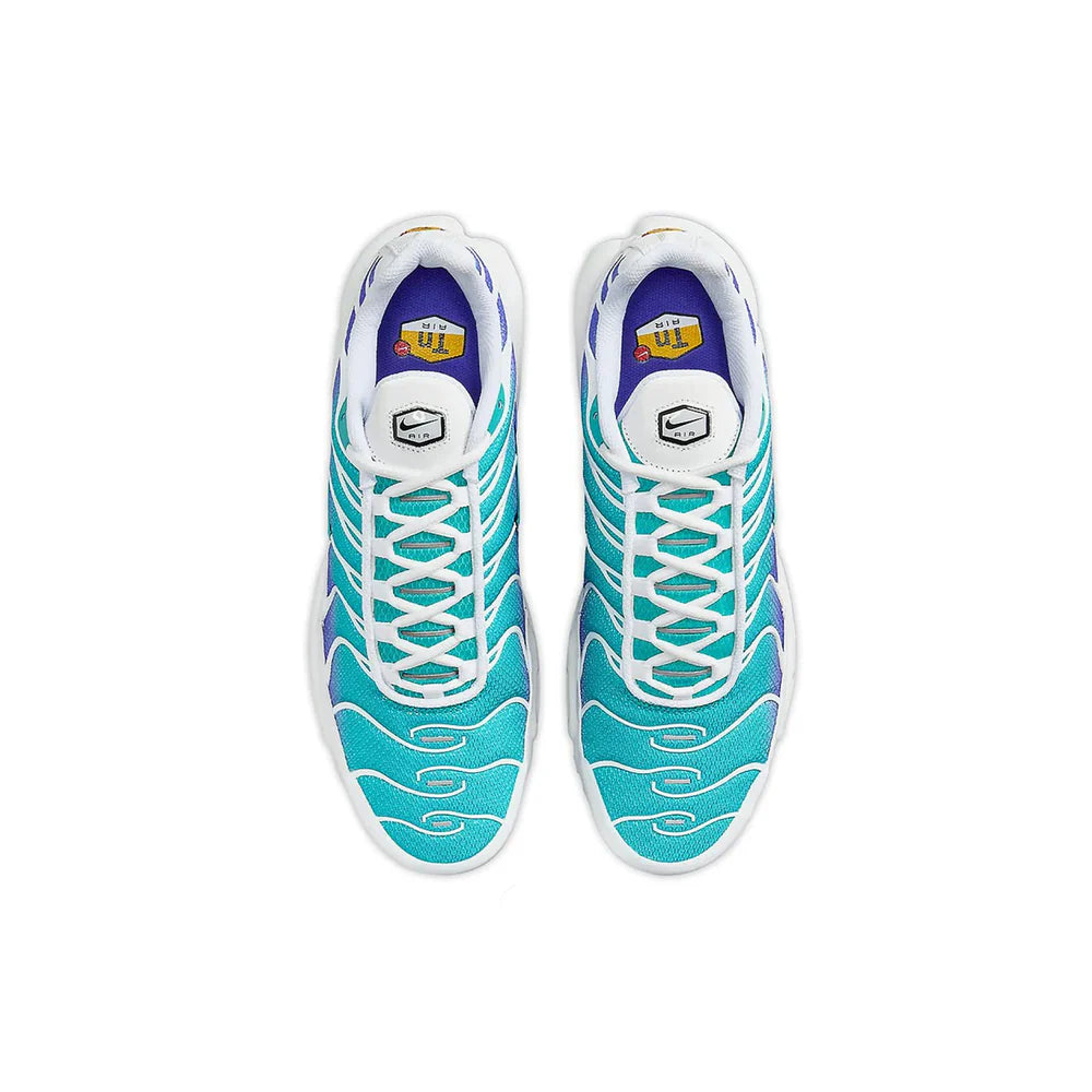 Air Max TN - Aqua v2