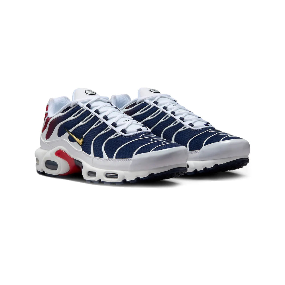 Air Max TN -PSG
