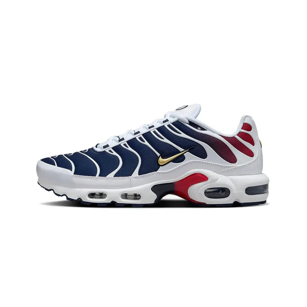 Air Max TN -PSG