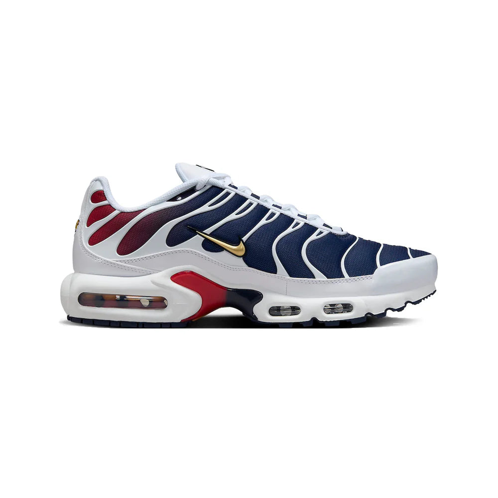 Air Max TN -PSG